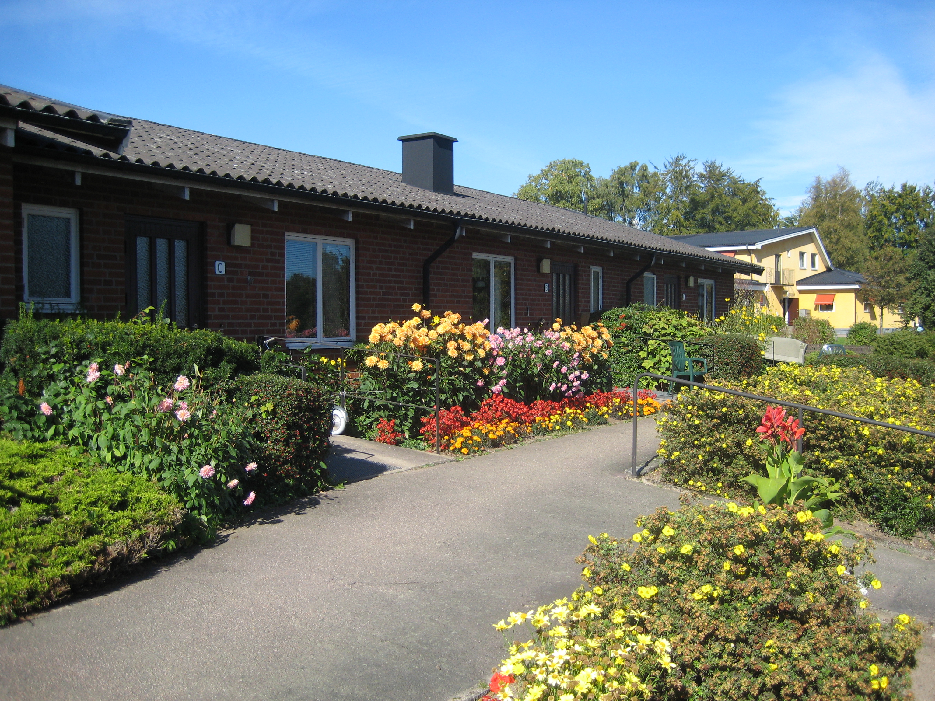 Plöjarevägen sommarblommor